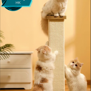 Single-Pillar Scratching Post